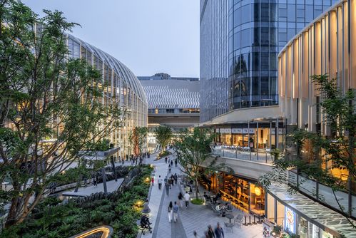 国内首个城市自然共同体 重庆光环购物公园惊艳山城